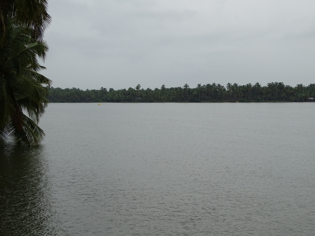 Tranquil Kottappuram Backwaters
