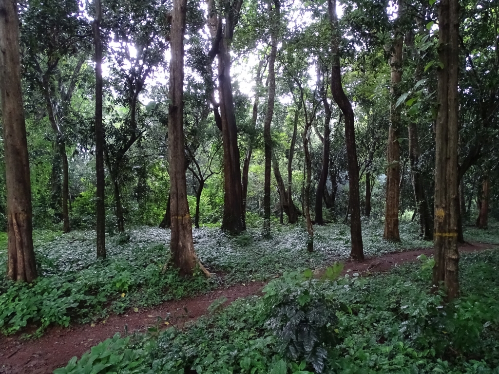 Trekking trails of Kanavam