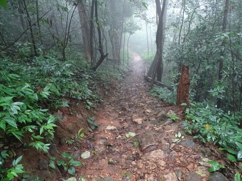 Trekking trails to Pythal Mala