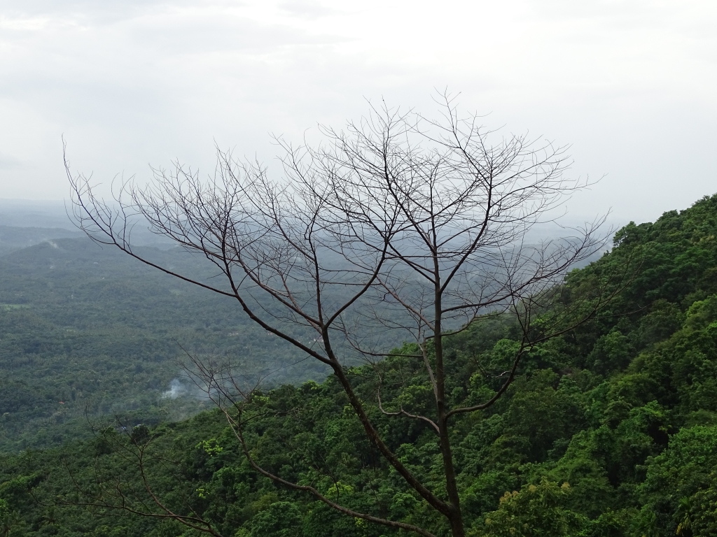 View from Puralimala