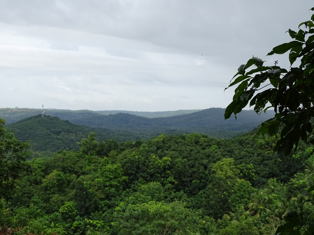 View of Kannavam Forest