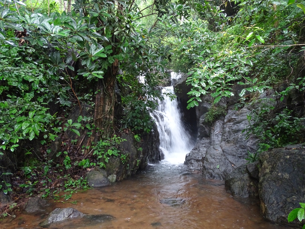 Waterfall inside Thonikadavu Green hills