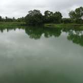 Medicinal water of Mujungavu Temple Pond