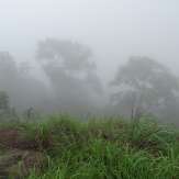 Misty Kottencherry Hills