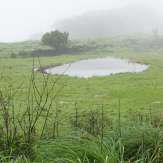Natural pond atop Pythal Mala