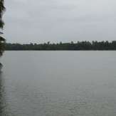Tranquil Kottappuram Backwaters