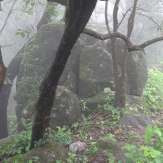Trekking trails of Kottancherry Hills
