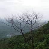 View from Puralimala