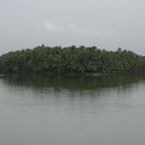 View of Thuruthu backwaters