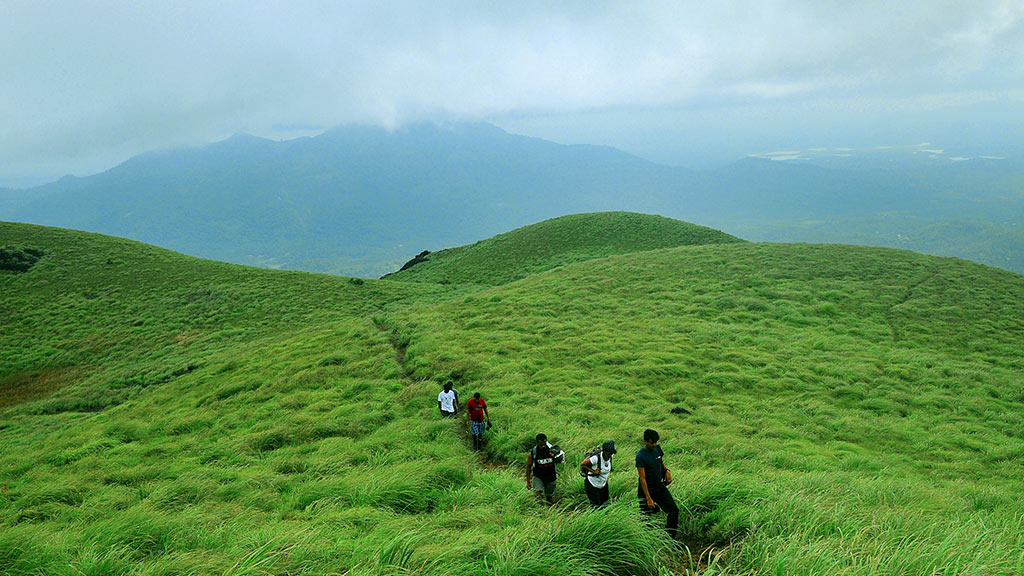 chembra peak trek wayanad