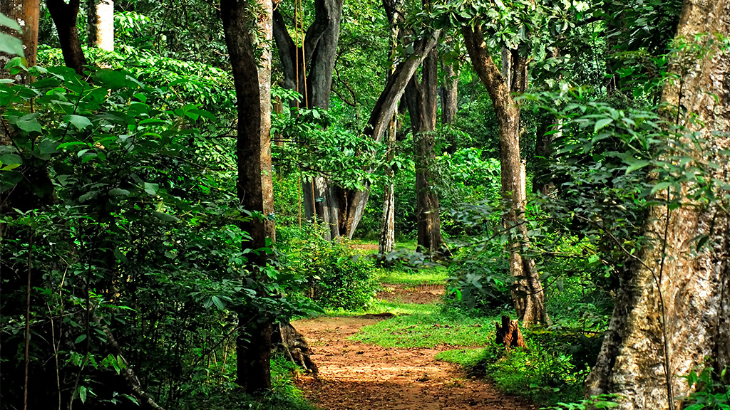 first eco tourism centre in india