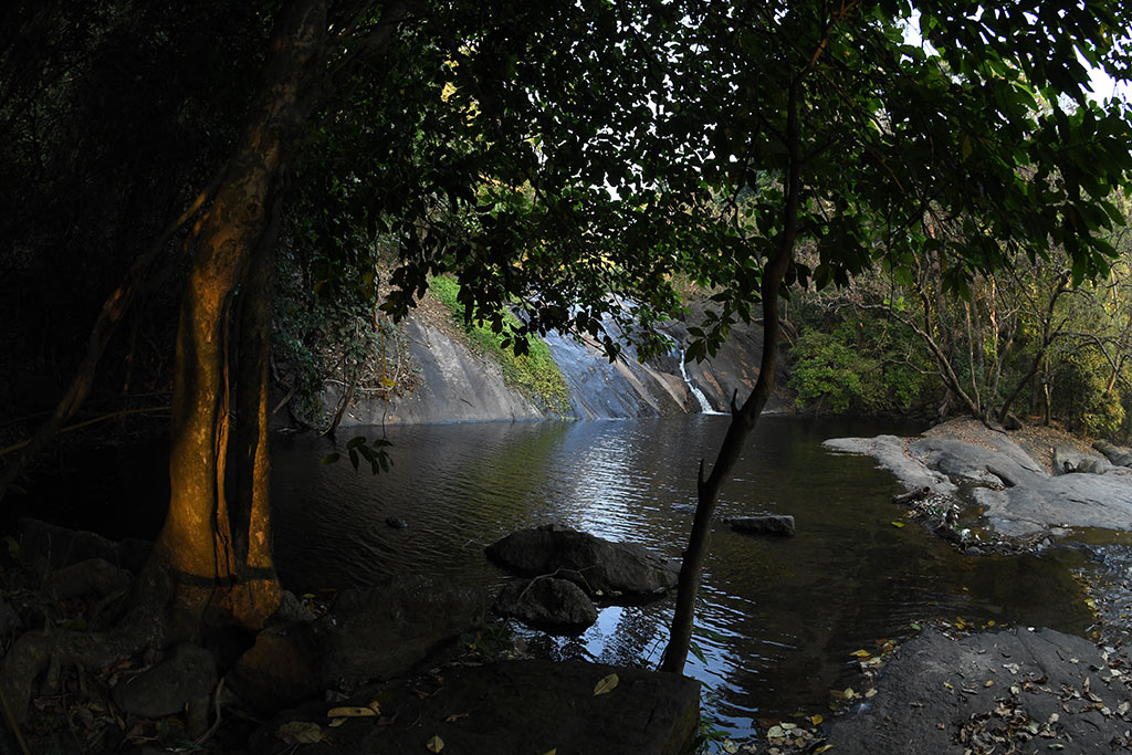 Trek to Dhoni Waterfalls in Palakkad | Treks in Kerala