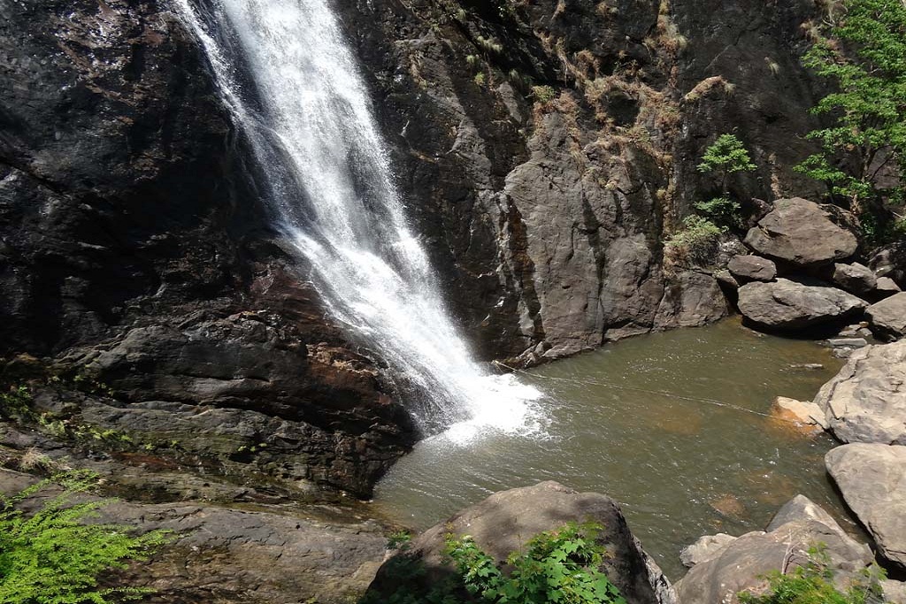 Trek to the top of Palaruvi Falls | Trekking Packages Kollam | Eco Tourism  in Kerala