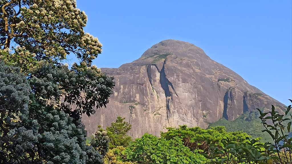 Agasthyakoodam hills