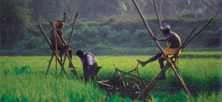 Heritage Status to Kuttanad, Alappuzha, Kerala, India 