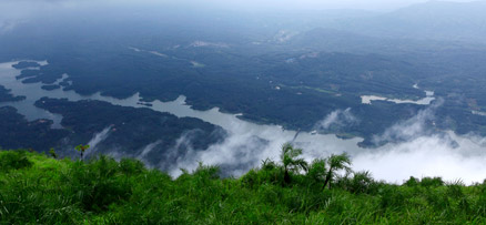 Ilaveezhapoonchira â€“a  floral bund sans leaves, Valley, Kottayam, Trekking destination, Kerala, India 