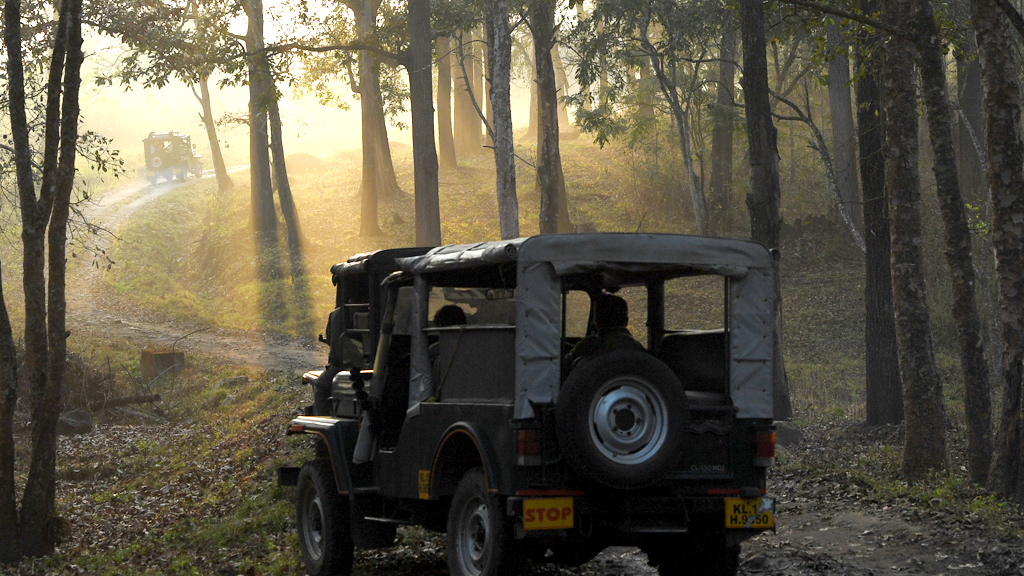 An Exhilarating Jeep Safari at Wayanad Wildlife Sanctuary 