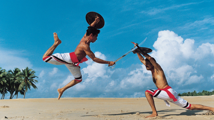 Short Stick Fighting, Kalaripayattu, Martial arts of Kerala