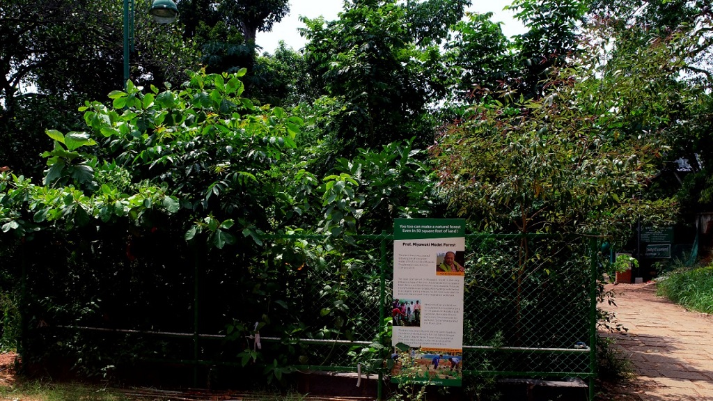 Kanakakkunnu forest