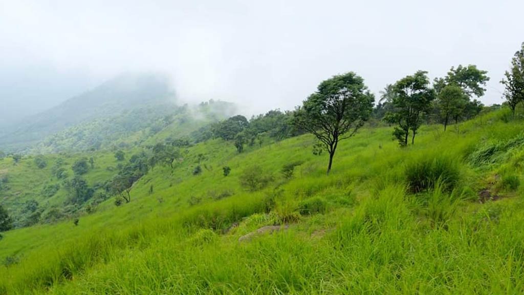 Kodukuthimala - the mini ooty of Malappuram | Kerala Tourism