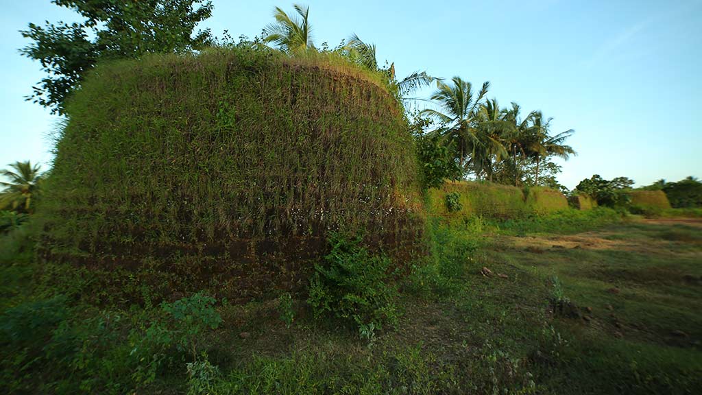 Kundamkuzhy Fort - A Walk to Remember