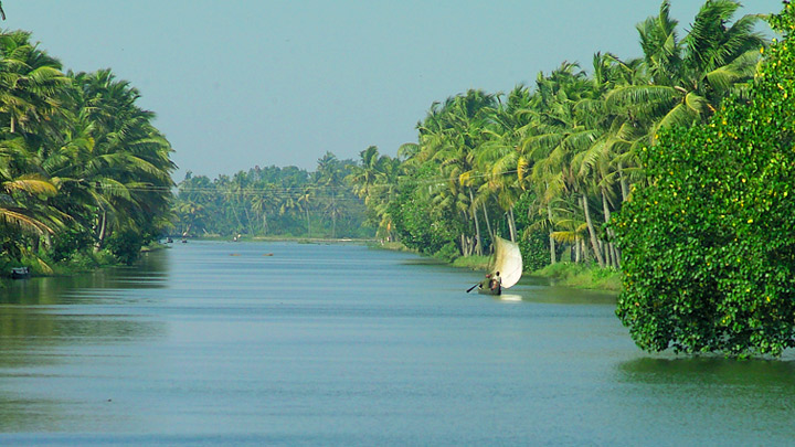 Image result for kuttanad