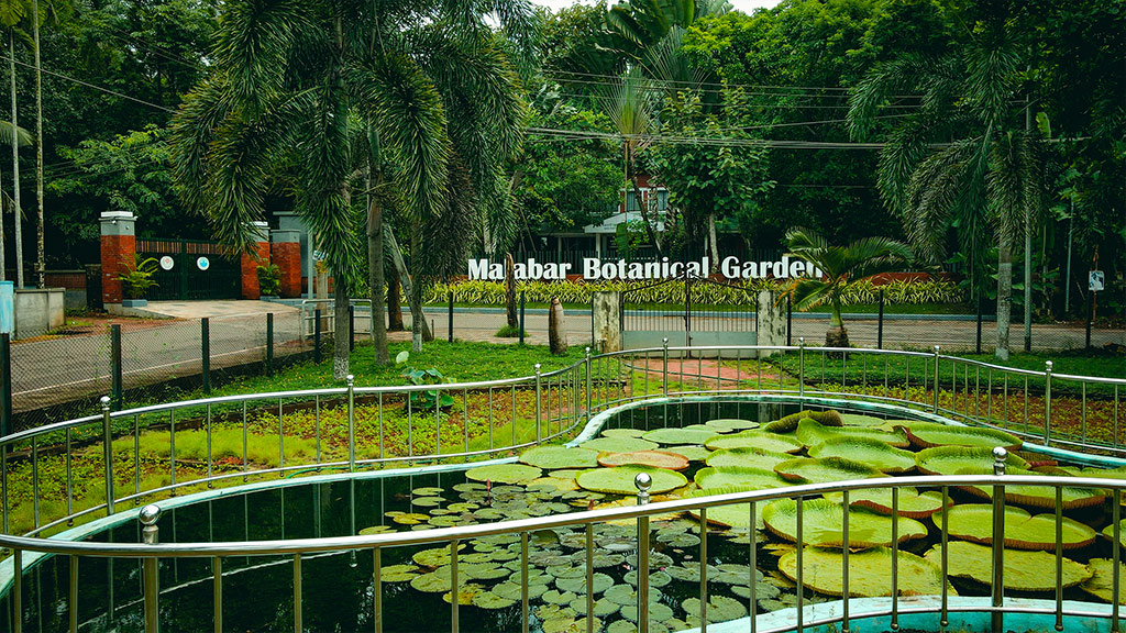 Malabar Botanical Garden and Institute for Plant Sciences 