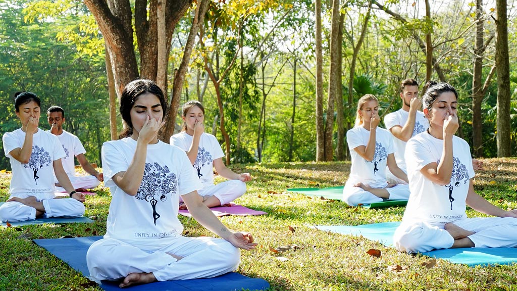 Meditation in Yoga