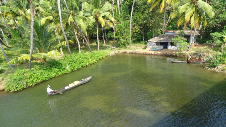 Munroe Island- A Rhythm in Green 