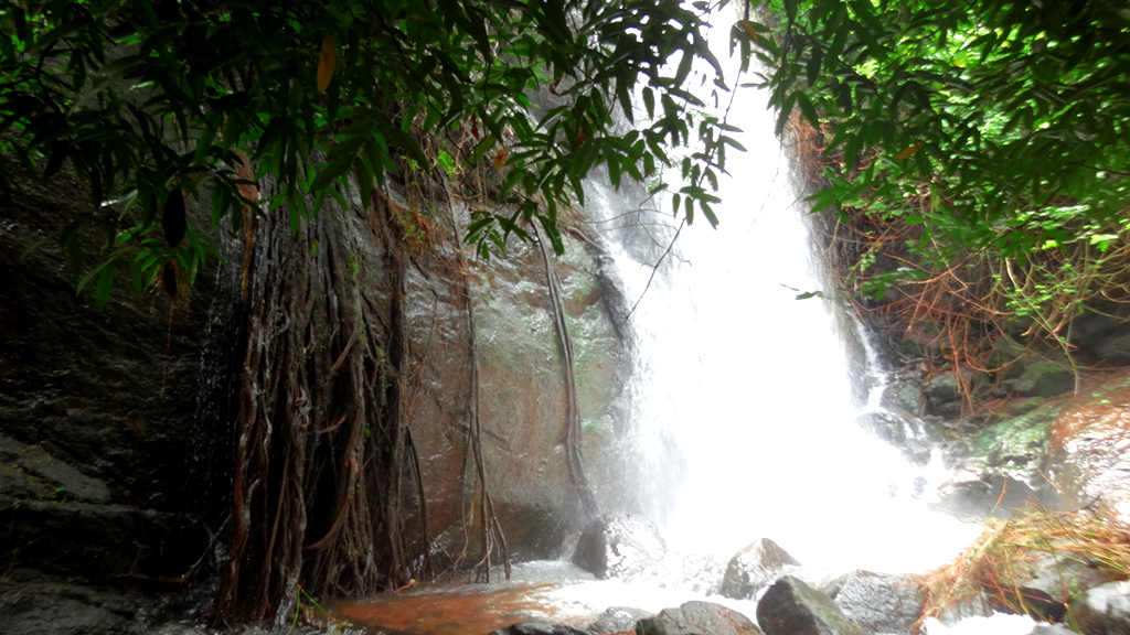 Pampanal Waterfalls Kottayam
