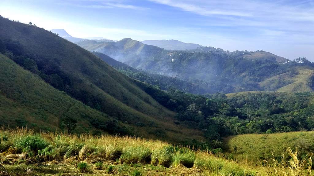 केरल की खूबसूरती का लेना चाहते हैं आनंद, जानें TOP-5 पर्यटन स्थल-Want to enjoy the beauty of Kerala, know TOP-5 tourist places