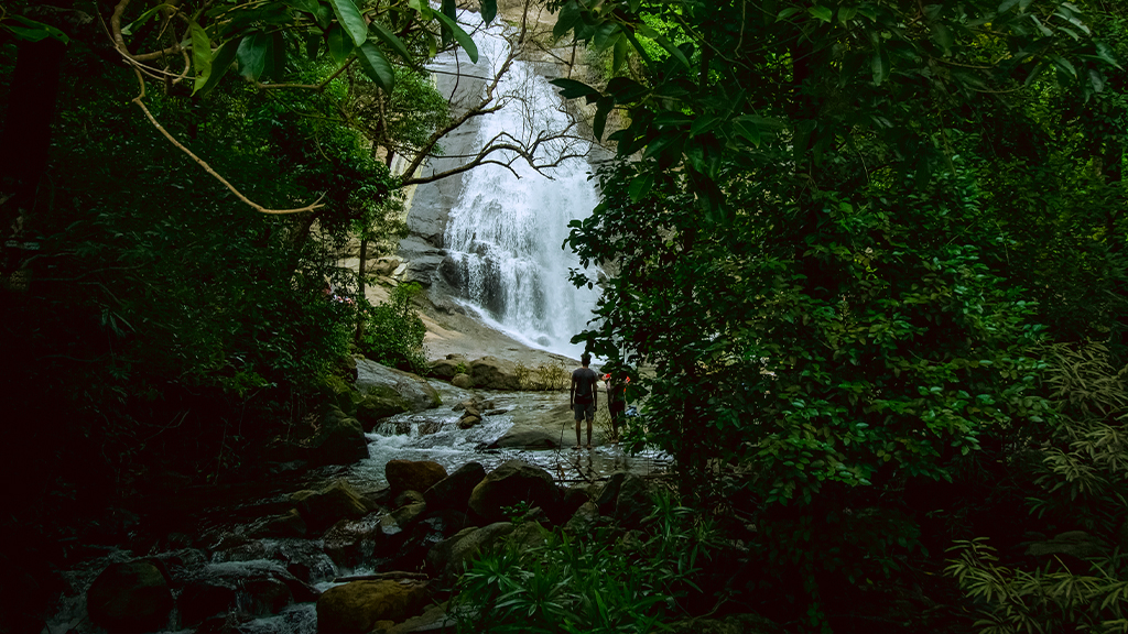 Thusharagiri Waterfalls 