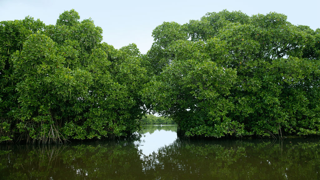 Valanthakad Island - An Islet that is an Enigma