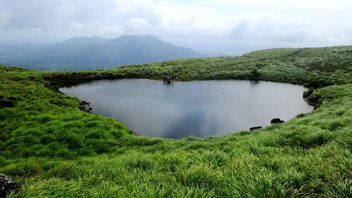 Wayanad - A Tryst with Nature 