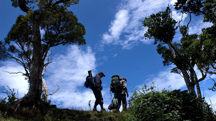 Get ready to  explore the jungles of Central Kerala - Mankulam Aanakkulam and Sholayar 