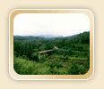 Explore the Pristine Greenery in Janakikad, Kozhikode