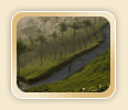 Spice Scented Village Life
