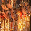 Thootha Pooram – Processions of Real Tuskers and Stylized Bulls