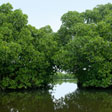 Valanthakad Island - An Islet that is an Enigma