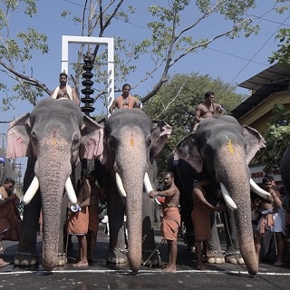 Guruvayur Aanayottam