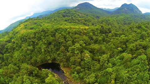 Silent Valley National Park