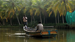 A Boat Ride in Poovar