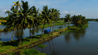 Backwater s'étend de Kochi