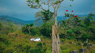 Bonacadu, Thiruvananthapuram