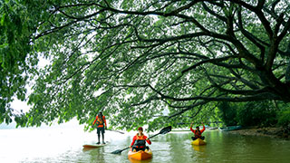 Kayaking along the Chaliyar River