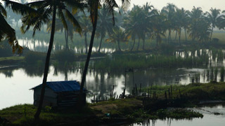 Kochi backwaters