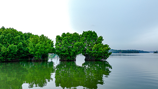 Munroe Island, Kollam