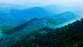 Muthukora Mala, Kaipally