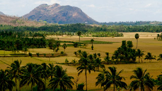 Palakkad