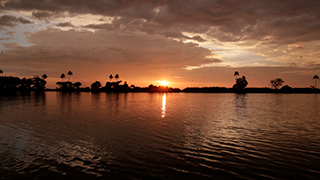 Q, S, T, and R Block Kayal, Alappuzha